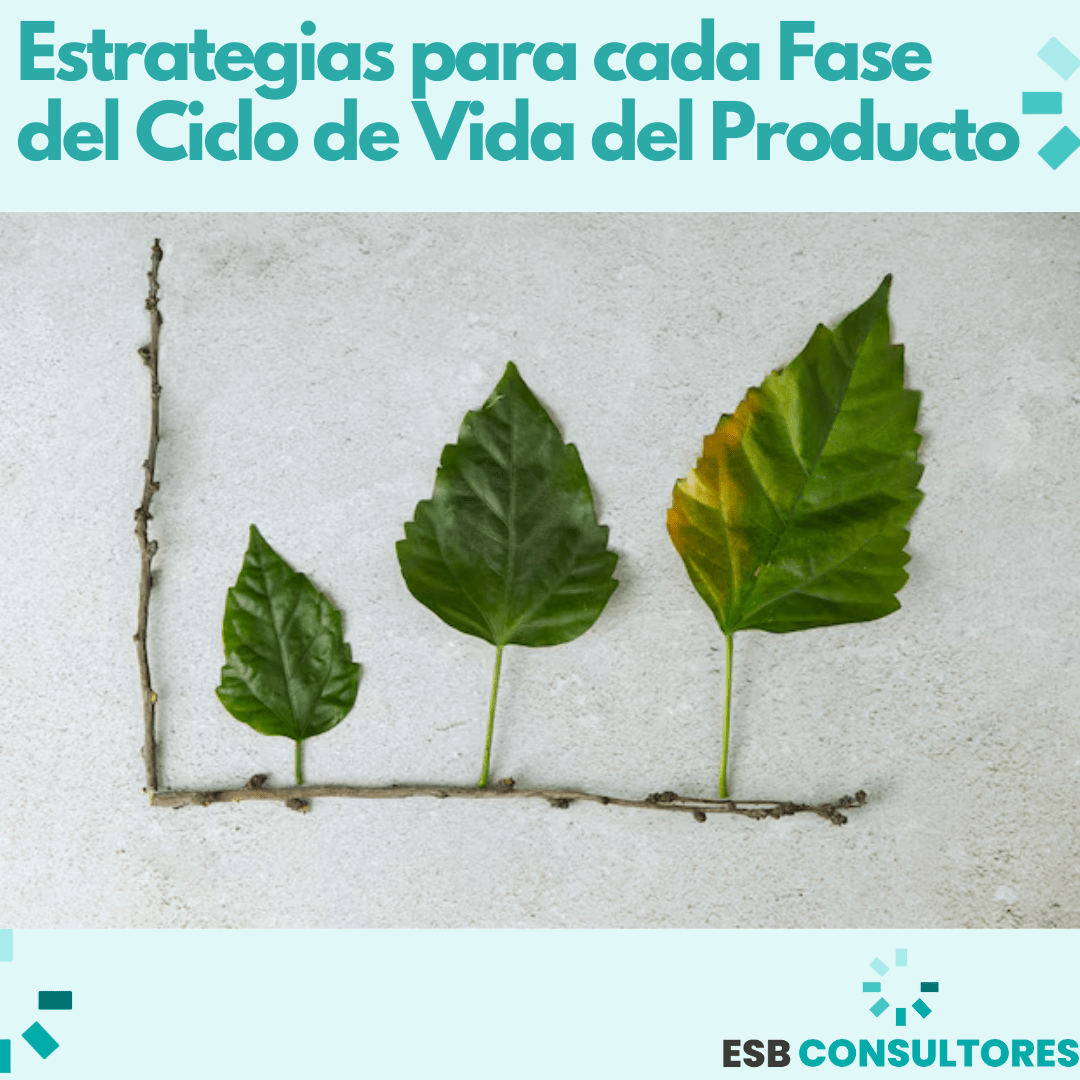 Estrategias para cada fase del ciclo de vida del producto